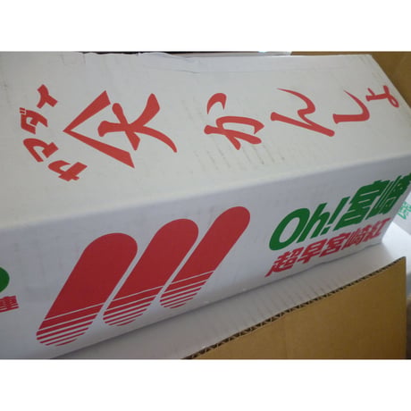 宮崎県産　新物さつまいも　【宮崎紅】Mサイズ　５kg/箱