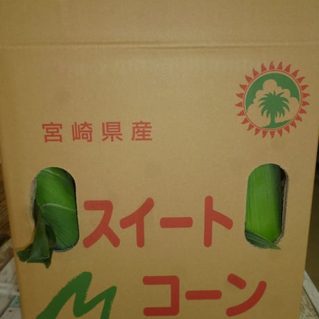 送料無料　宮崎県産　スイ－トコ－ン　20本入り　８ｋｇ前後