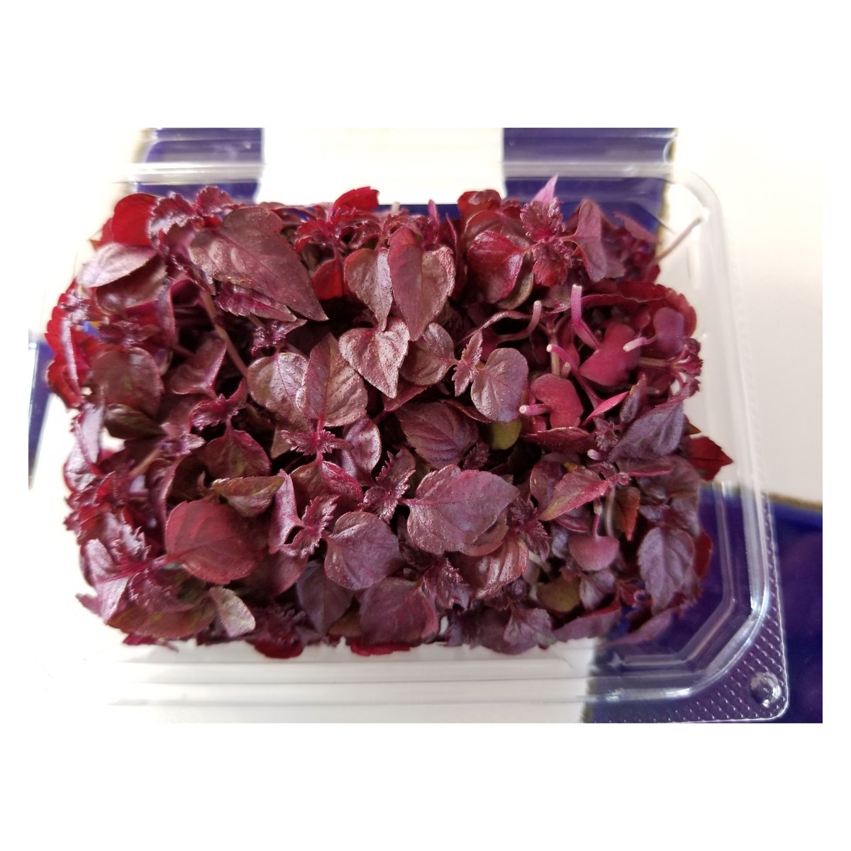 りこ 82G 赤紫 楽天市場】サクサク 赤しそ揚げ タナカ おつまみ スナック菓子 お菓子