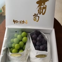 送料無料　高級ぶどうの詰め合わせ　福岡朝倉産　種無し　シャインマスカットとピオ-ネのセット