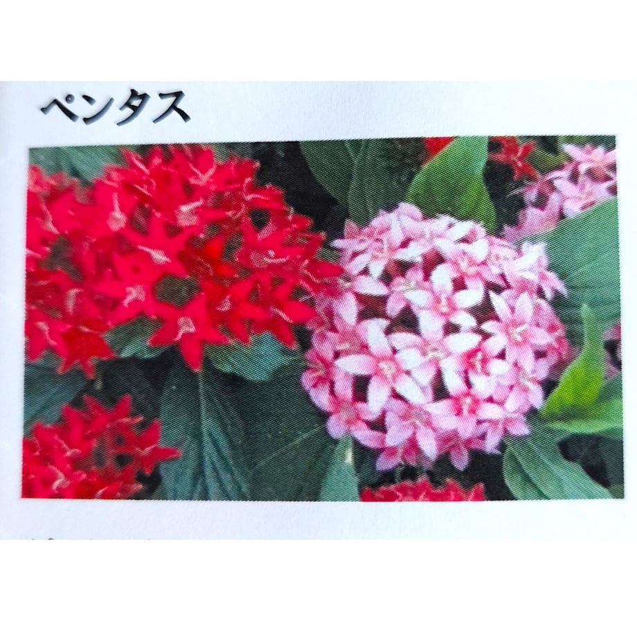 642a737ed9c7d0002abc16c8
