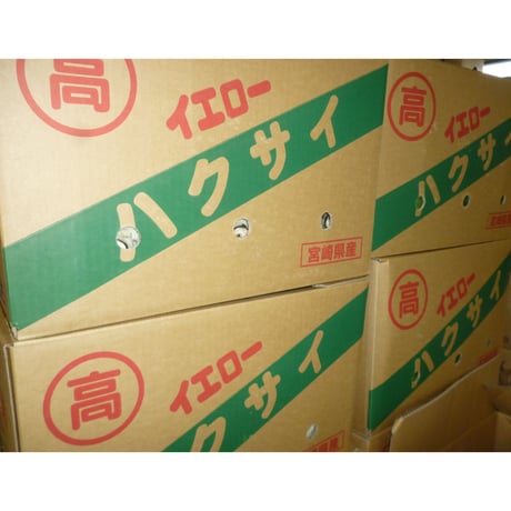 九州産　白菜　１玉/２㎏強