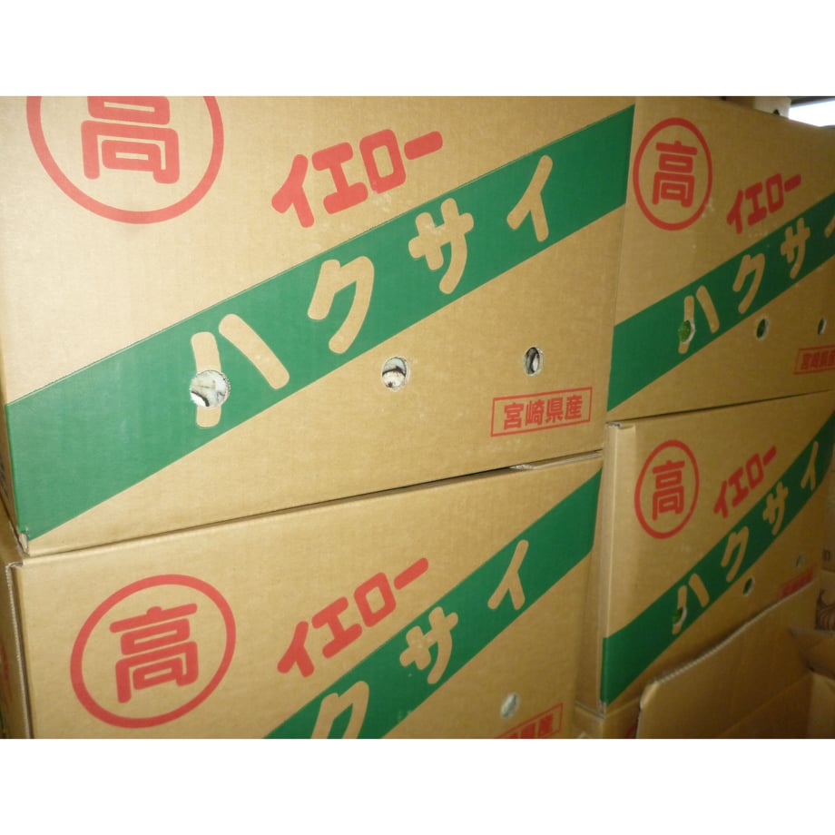 6471a0d7f27b52002c94d1dd