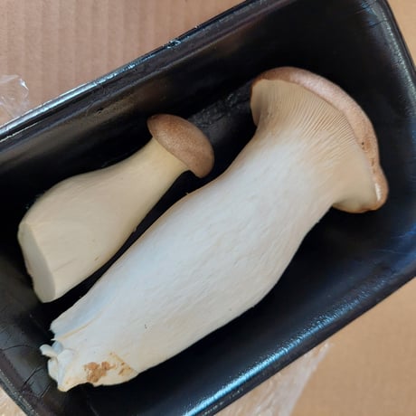宮崎産　しげながきのこ　【エリンギ】100ｇ/Ｐ