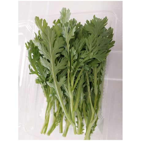 久保田農園　【サラダ春菊】　50ｇ/P