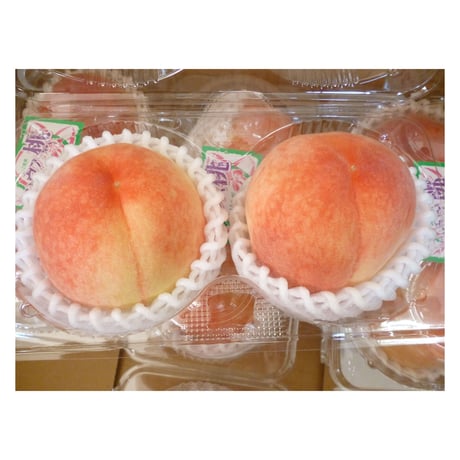 送料無料　初夏のフル-ツギフト　７種セット