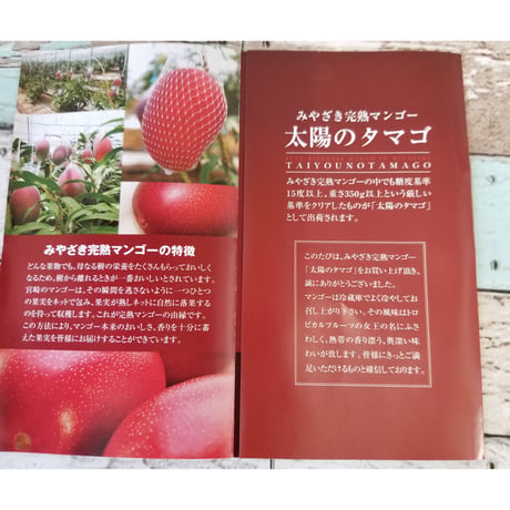 【送料無料】4月１3日解禁宮崎県が誇るフル-ツ完熟マンゴ－最高ランクAA【太陽のたまご】3Lサイズ２玉入り