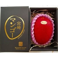 送料無料　大切な方へ　宮崎特産　完熟マンゴ－　3L～4Lサイズ　１玉入り（500ｇ前後）