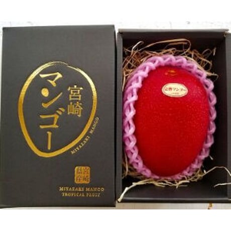 送料無料　大切な方へ　宮崎特産　完熟マンゴ－　3L～4Lサイズ　１玉入り（500ｇ前後）