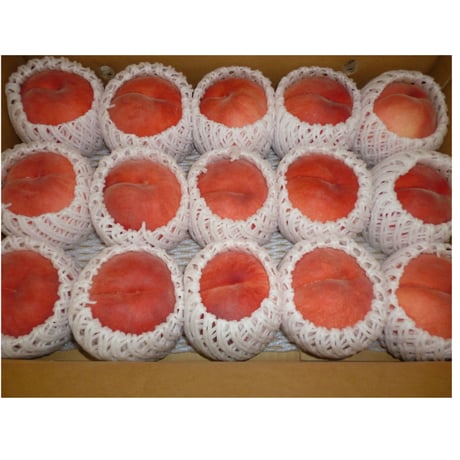 送料無料　福島産　【ミスピ－チ　もも】16玉～18玉/箱
