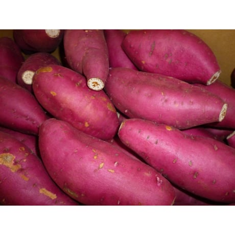 宮崎県産　新物さつまいも　【宮崎紅】Mサイズ　５kg/箱