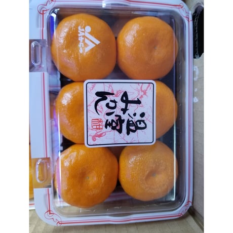 送料無料　初夏の果物【フル－ツギフト】　４種類