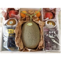 送料無料　初夏のフル-ツギフト　７種セット