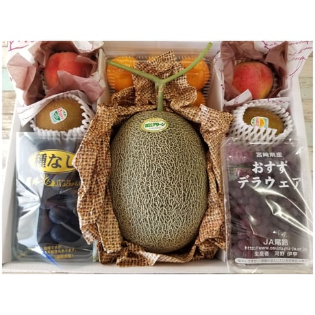 送料無料　初夏のフル-ツギフト　７種セット