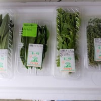 久保田農園　【セージ、パイマックル、オレガノ、タイム】４種類セット