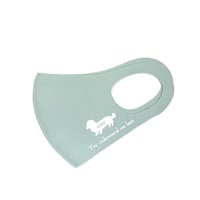 ＊ladies size＊PET MASK(ピスタチオ)