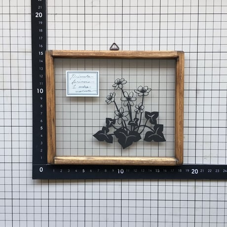 ユキワリソウの切り絵フレーム