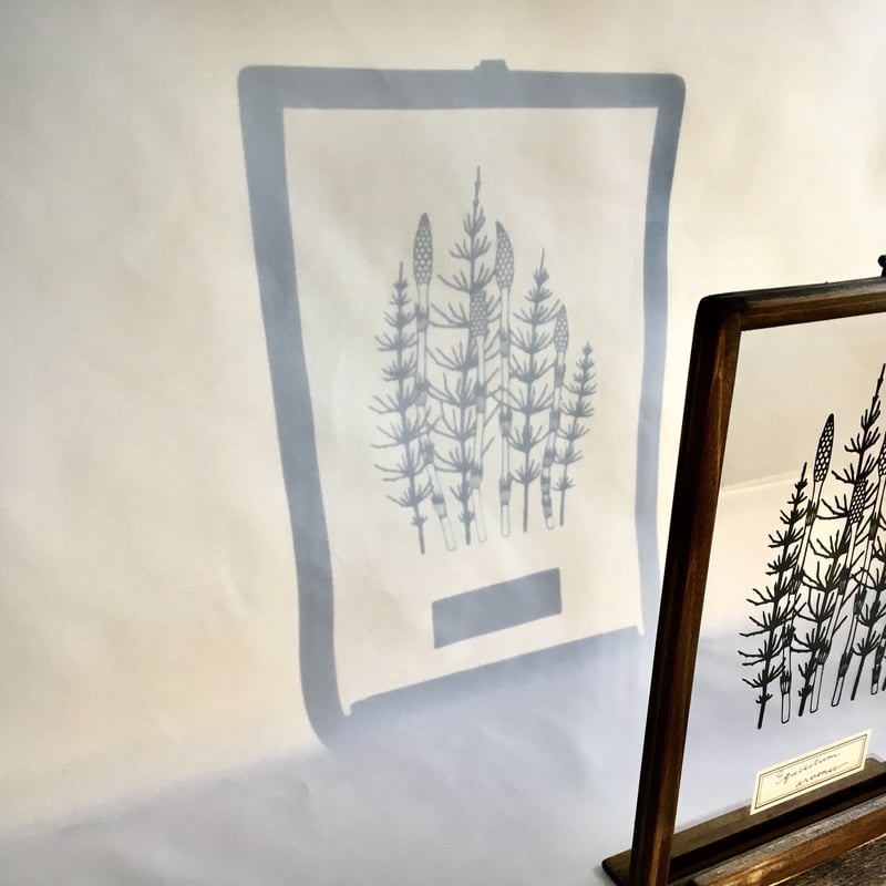 ツクシとスギナの切り絵フレーム | こえだ社