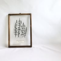 松ぼっくりの切り絵フレーム | こえだ社