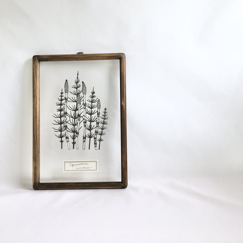 ツクシとスギナの切り絵フレーム | こえだ社