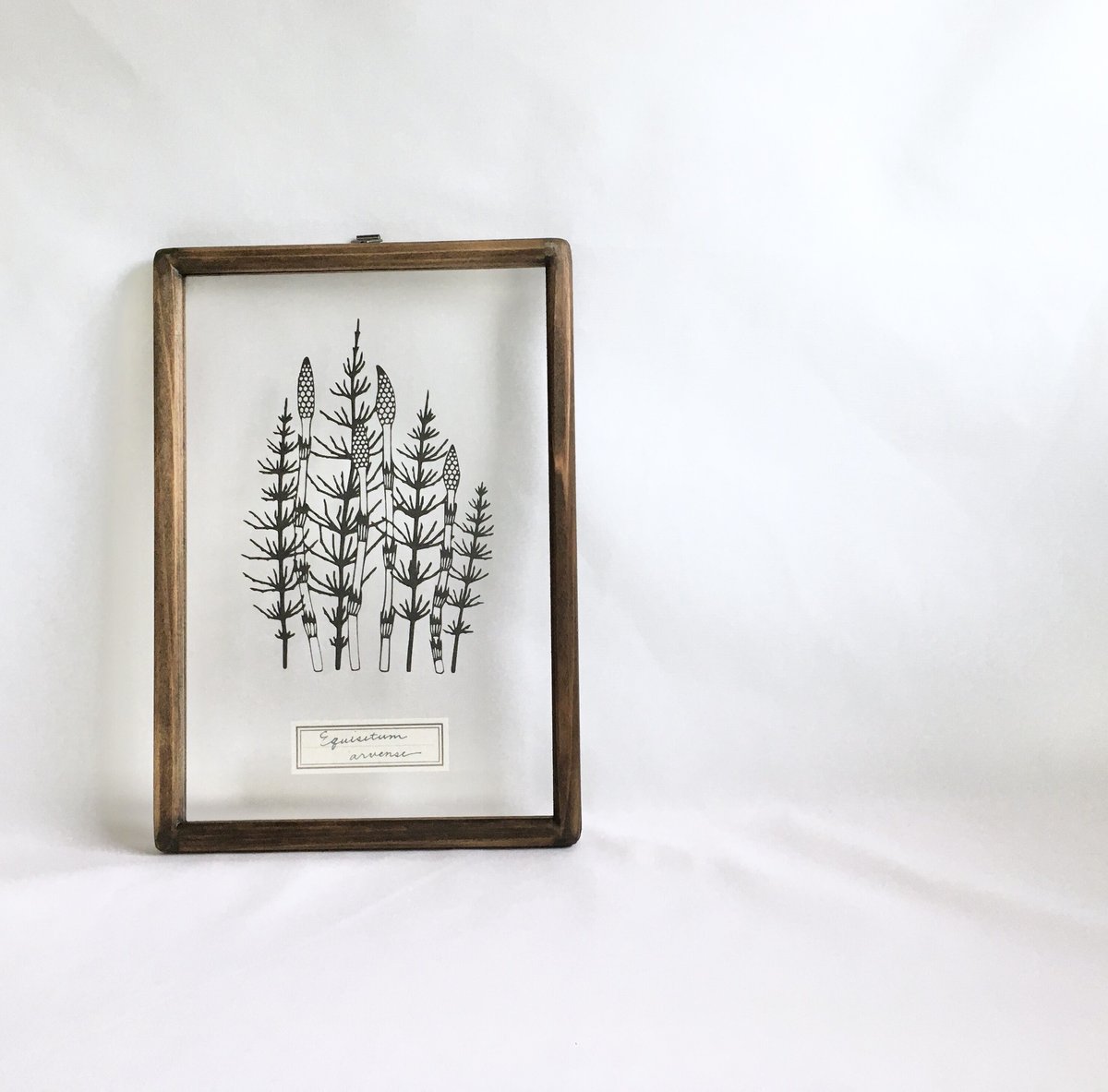 ツクシとスギナの切り絵フレーム | こえだ社