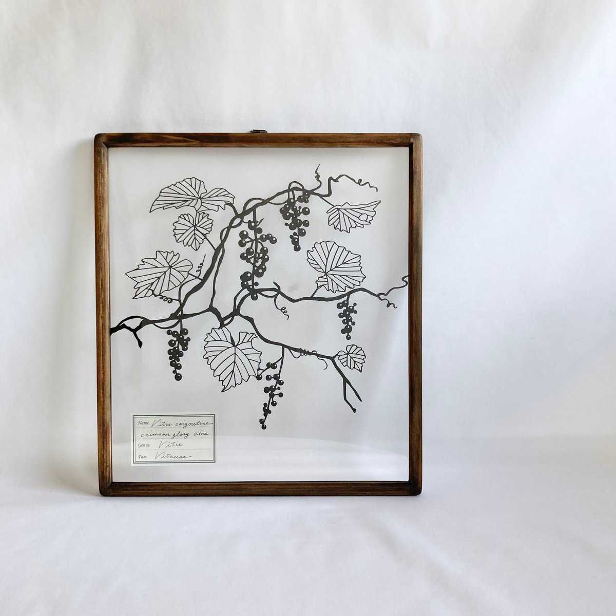 ヤマブドウの切り絵フレーム | こえだ社