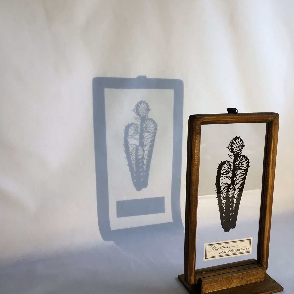 コゴミの切り絵フレーム | こえだ社