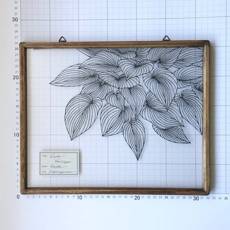 ギボウシの切り絵フレーム