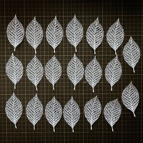 サクラの葉脈の切り絵