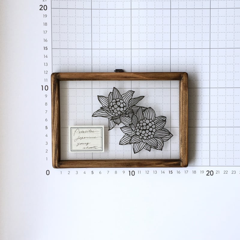 Fumi　切り絵 Fumi 切り絵 Fumi 切り絵 切り絵】ZX-6R / hide さんのイラスト