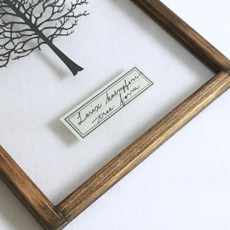 切り絵（フレーム付き) カラマツ樹形の切り絵フレーム | こえだ社