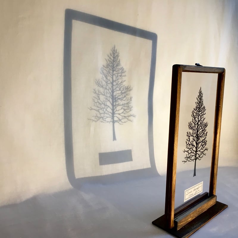 カラマツ樹形の切り絵フレーム | こえだ社