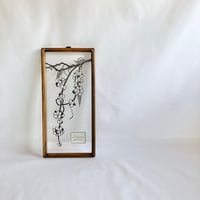ヤマモイモの果皮の切り絵フレーム
