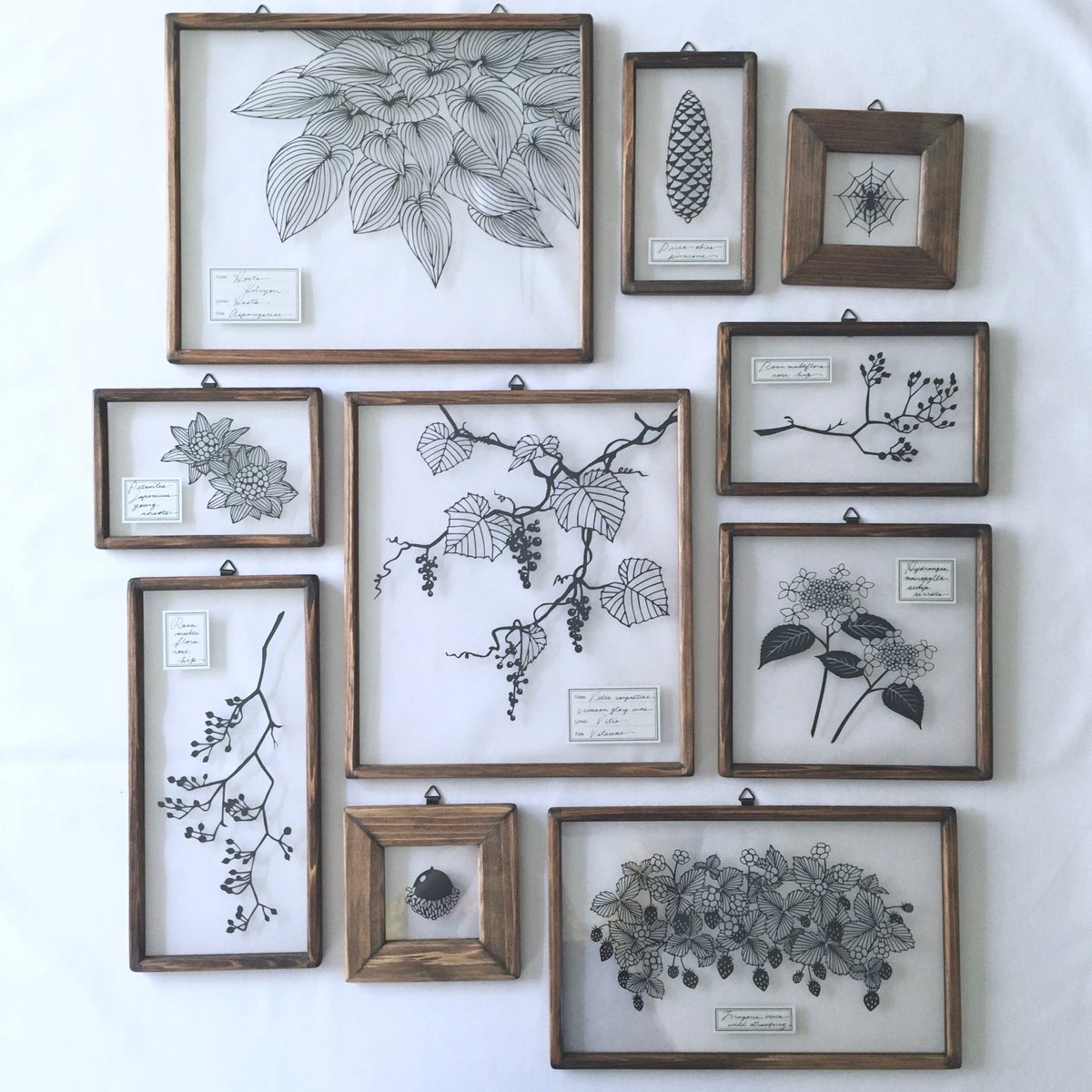 アミホオズキの切り絵フレーム | こえだ社