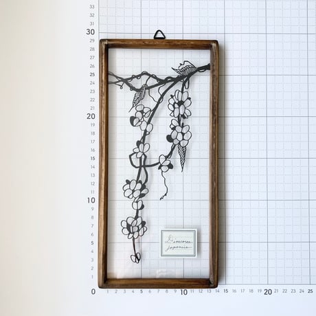 ヤマモイモの果皮の切り絵フレーム