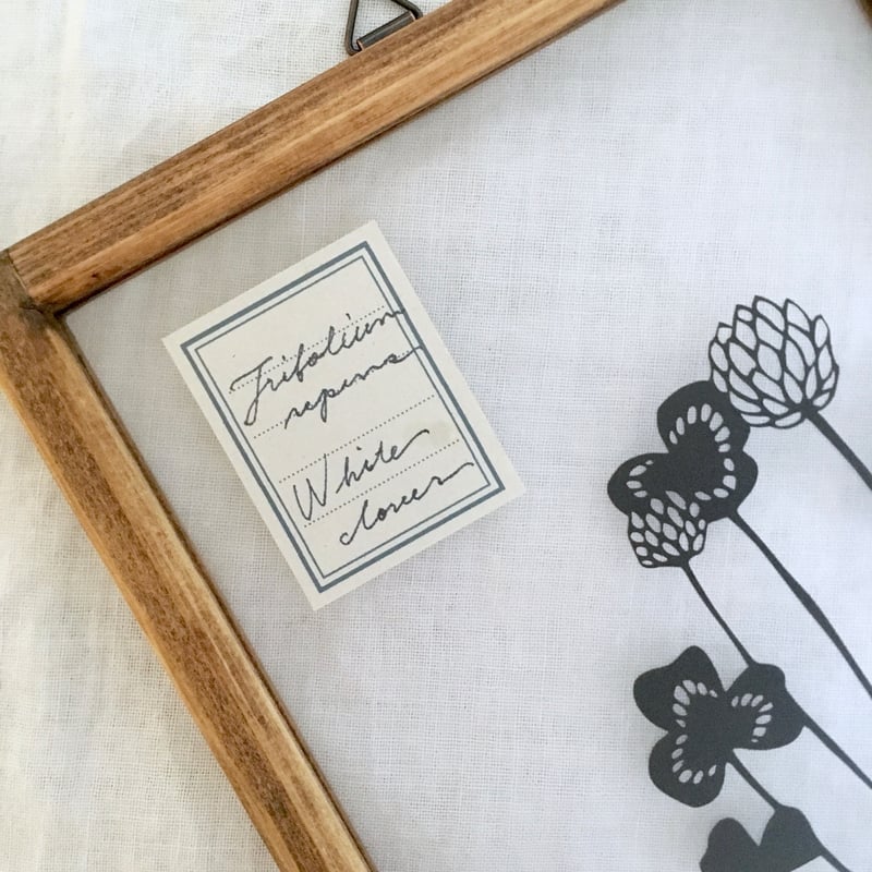 シロツメクサの切り絵フレーム | こえだ社