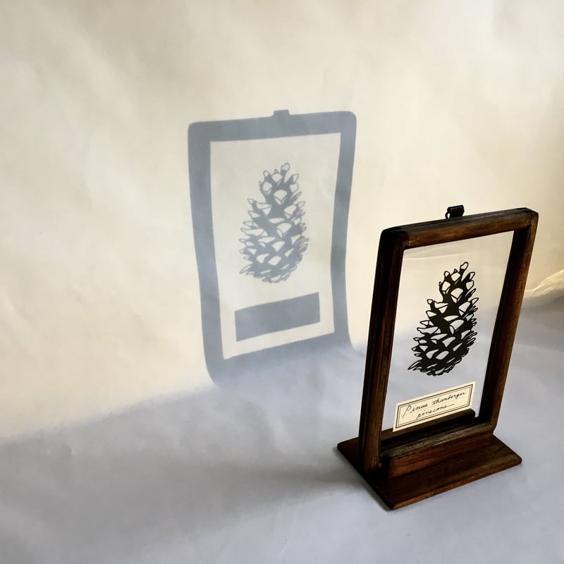 松ぼっくりのパステル画 A4サイズ 松ぼっくりのパステル画 A4