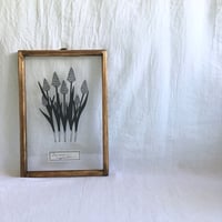 ムスカリの切り絵フレーム