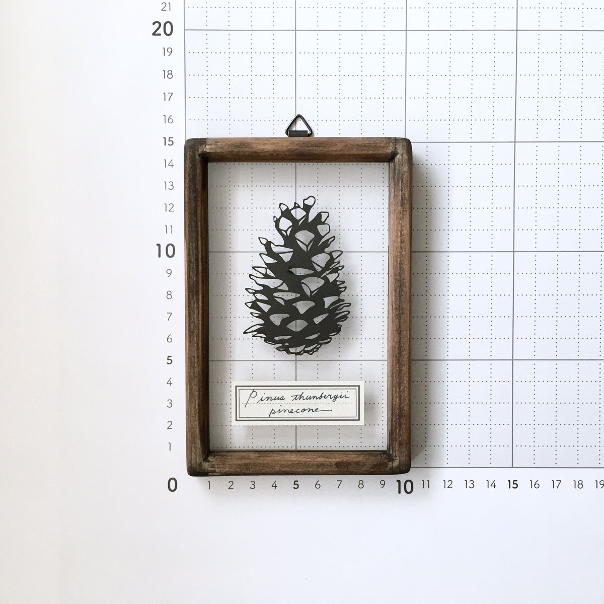 松ぼっくりのパステル画 楽天市場】工作セット 松ぼっくり 20個入り アクリルガッシュ