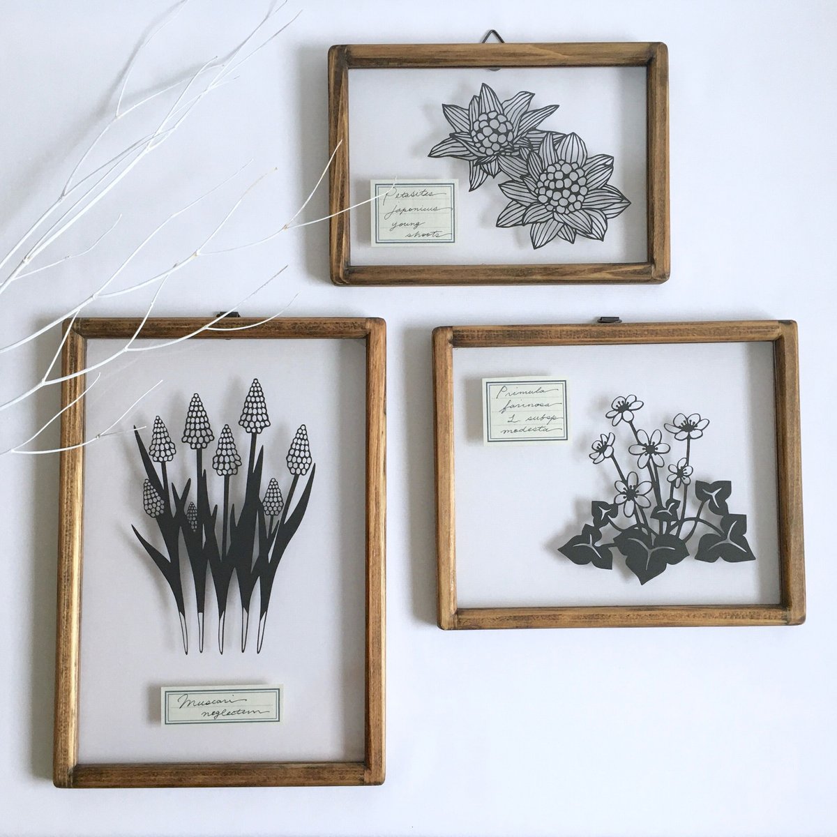 フキノトウの切り絵フレーム | こえだ社