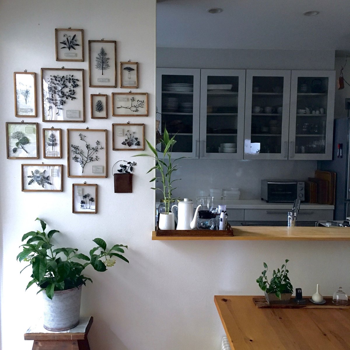 絵画　アクリル絵　額縁　ボード　タンポポ 楽天市場】たんぽぽ 絵（アート・美術品・骨董品・民芸品