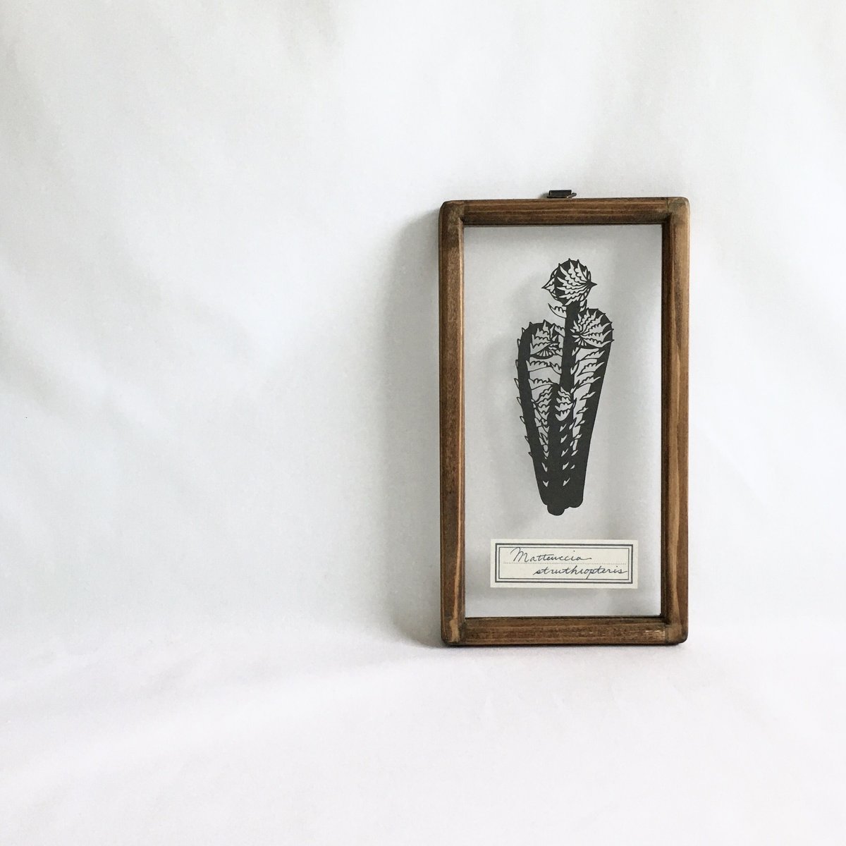 コゴミの切り絵フレーム | こえだ社