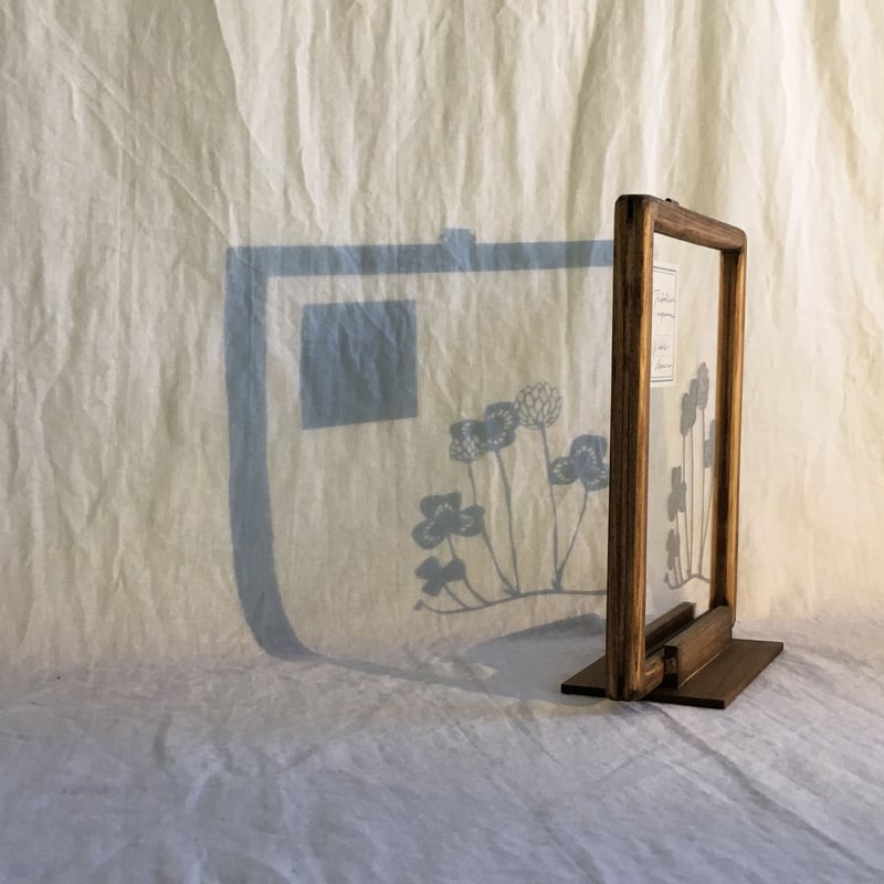 シロツメクサの切り絵フレーム | こえだ社