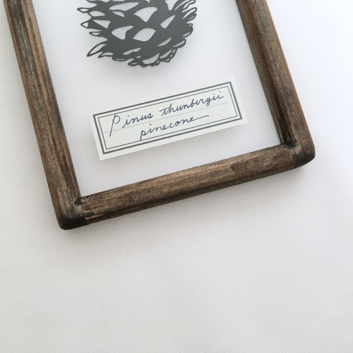 松ぼっくりのパステル画 A4サイズ 松ぼっくりのパステル画 A4サイズ ステンドアート