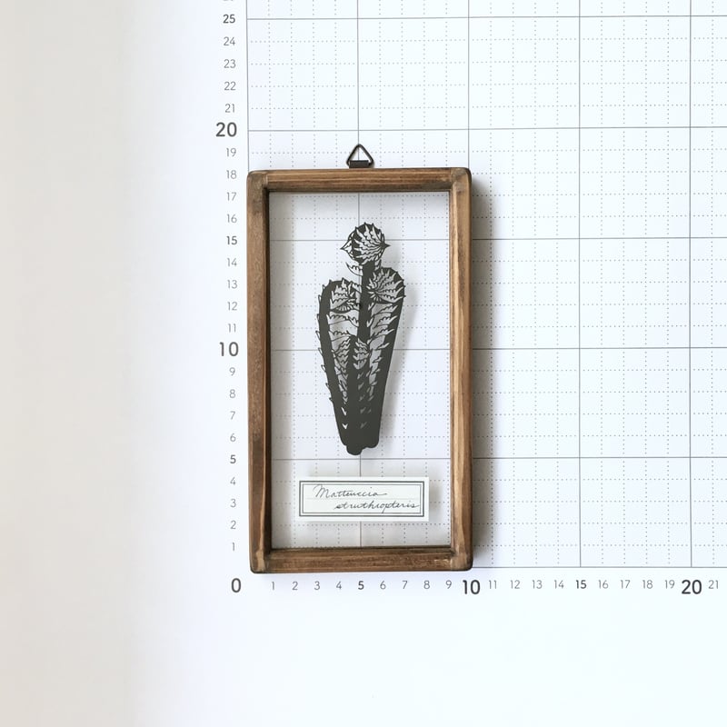 コゴミの切り絵フレーム | こえだ社