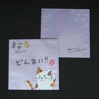 １煎パック　ネコ柄J　どんまい‼