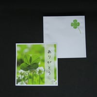 １煎パック　4５　ありがとう（四つ葉）