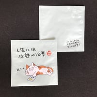 １煎パック　ネコ柄す　人生には休憩が必要