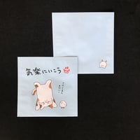 １煎パック　ネコ柄た　気楽にいこう