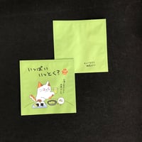 １煎パック　ネコ柄て　いっぱいいっとく？
